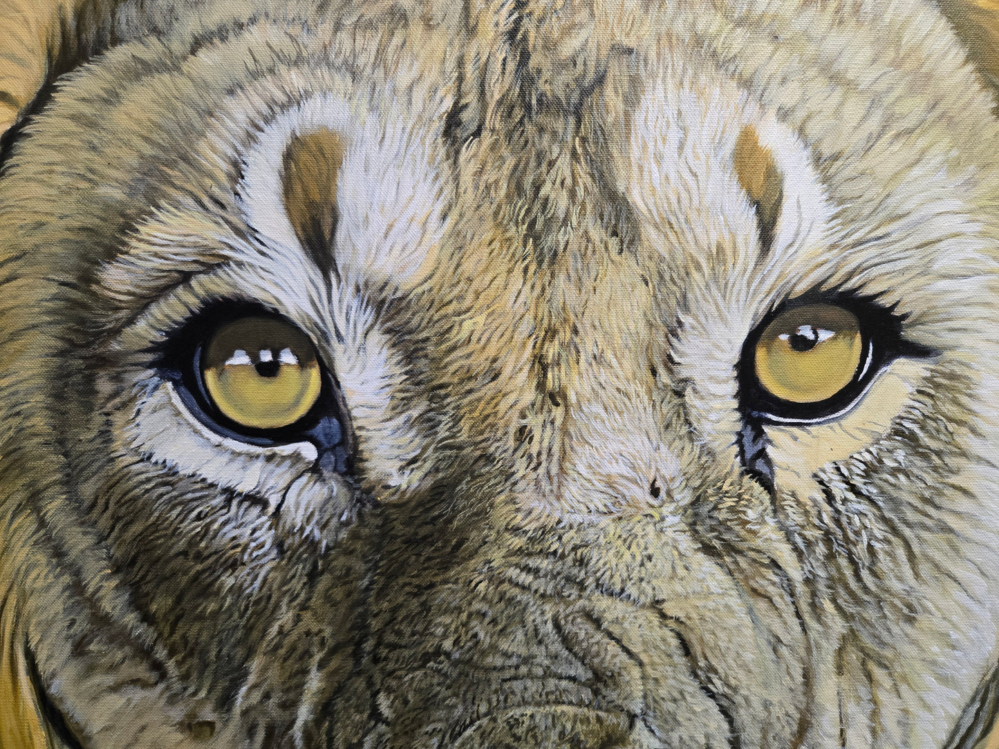 L'âme de la savane.