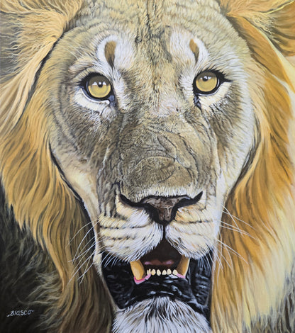 L'âme de la savane.