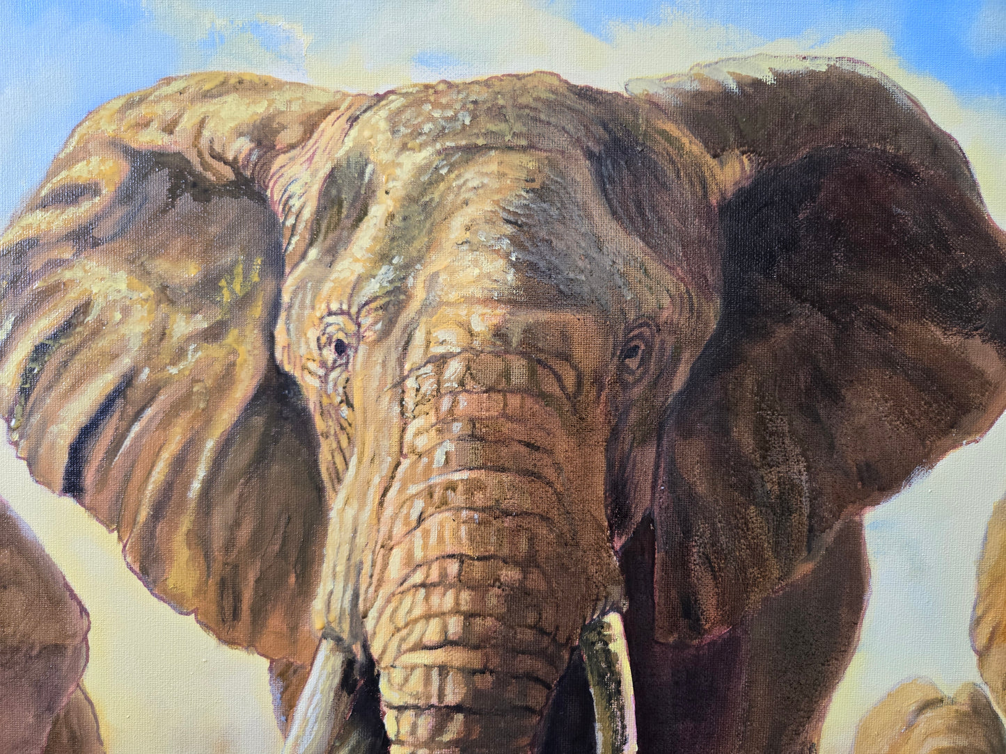 Retour à Elephant Sand.