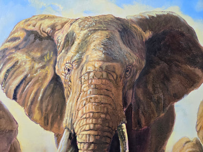 Retour à Elephant Sand.