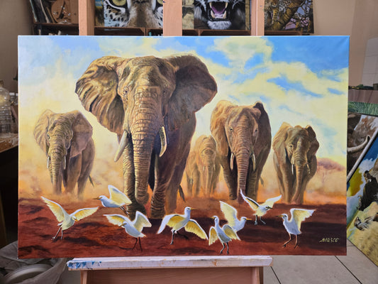 Retour à Elephant Sand.