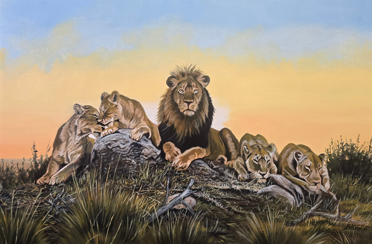 A la lisière du Kalahari