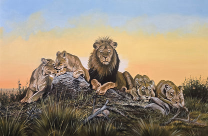 A la lisière du Kalahari