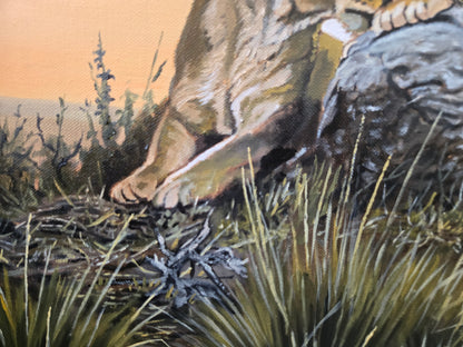 A la lisière du Kalahari