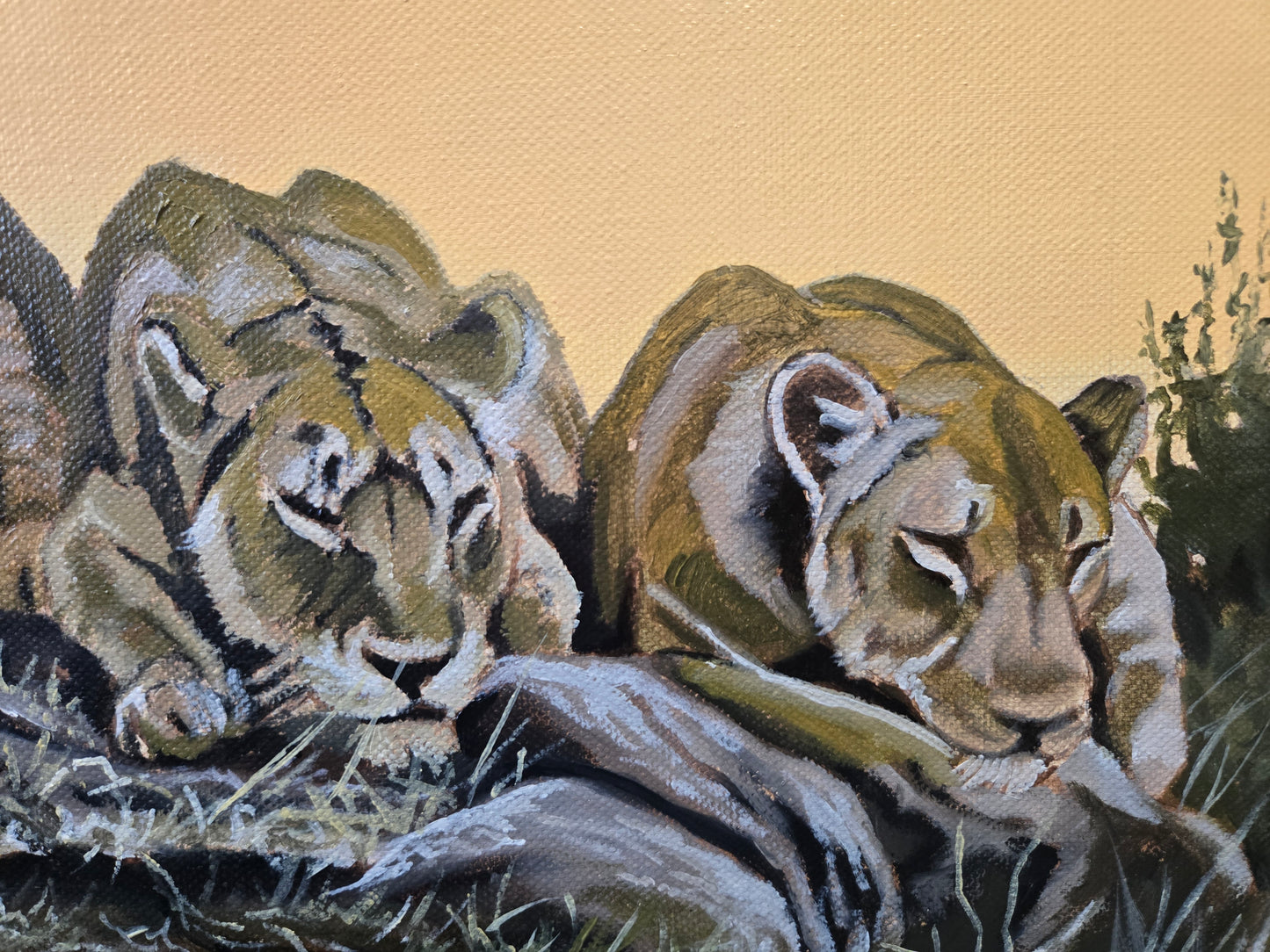 A la lisière du Kalahari